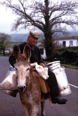 Terceira Island CR1FSC